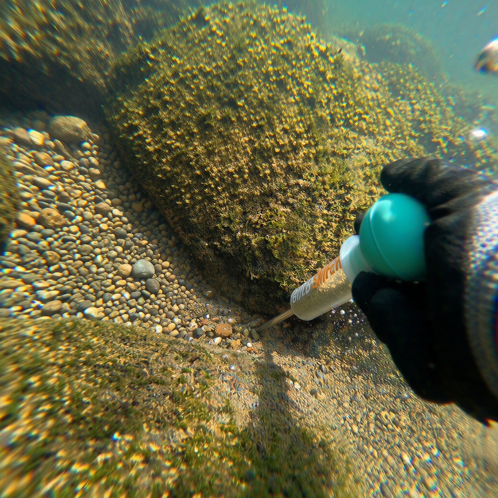 Underwater Bulb Sniper